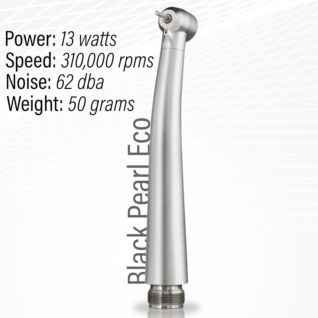 Black Pearl Echo at a Glance